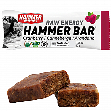 HAMMER NUTRITION Raw Energy Bar *BIO DE-KO-006*